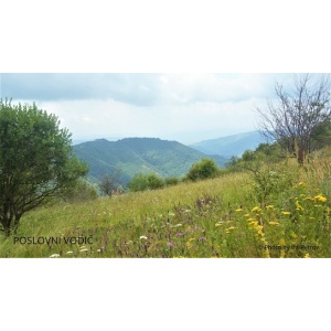 Stara planina vodič za obilazak