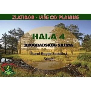 ZLATIBOR VIŠE OD PLANINE