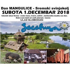 DAN MANGULICE ZASAVICA 2018