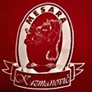 KLANICA SA PRERADOM MESA KUZMANOVIĆ