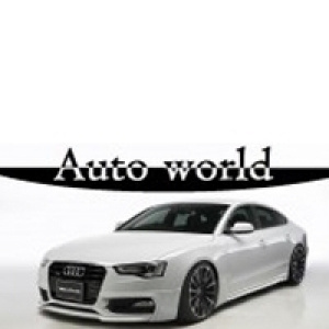 AUTO WORLD DOO